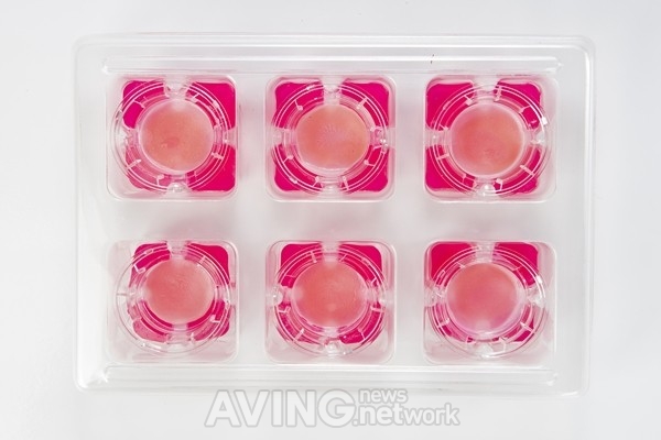 [미리보는 COSMETIC INSIDE KOREA] 테고사이언스, 동물실험대체 배양피부모델 네오덤 선보일 예정