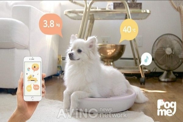 [MIK 2019 시즌1] 열사람, 반려동물의 질병을 예측하고 관리하는 홈케어 IoT, '포그미' 선보일 예정