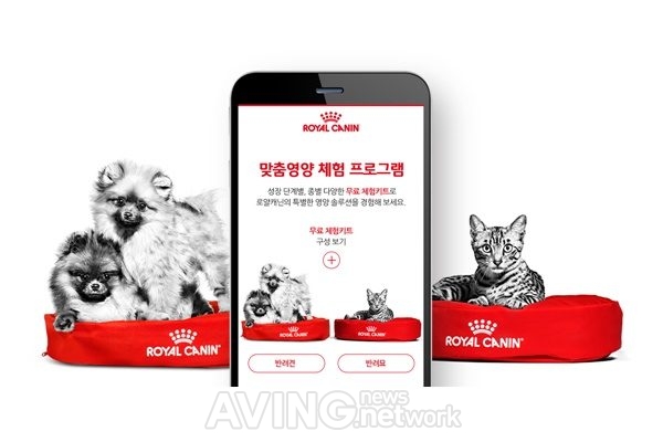 이든앤앨리스마케팅, 웹어워드 코리아 4개 부문 석권