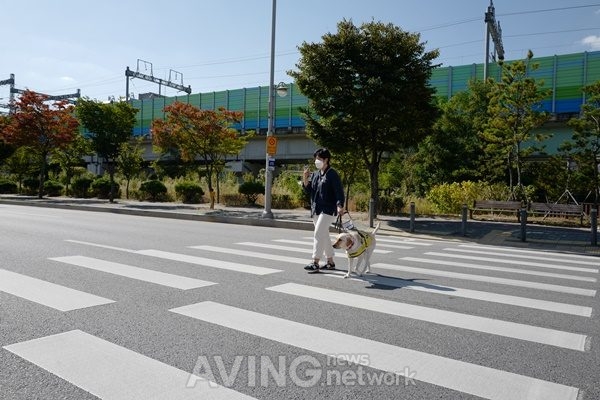 [19th MIK 2020 SEASON OFF ONLINE] 바토너스(Batoners), "머신러닝 기술, 웹/앱 개발 진행중"