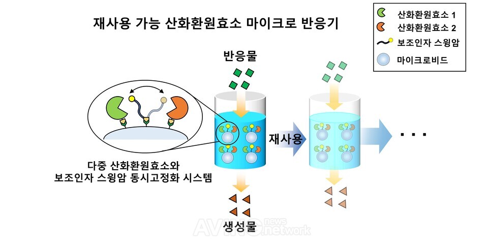지스트, 설탕으로 값비싼 약물 전환 고부가가치 친환경 촉매 개발!…