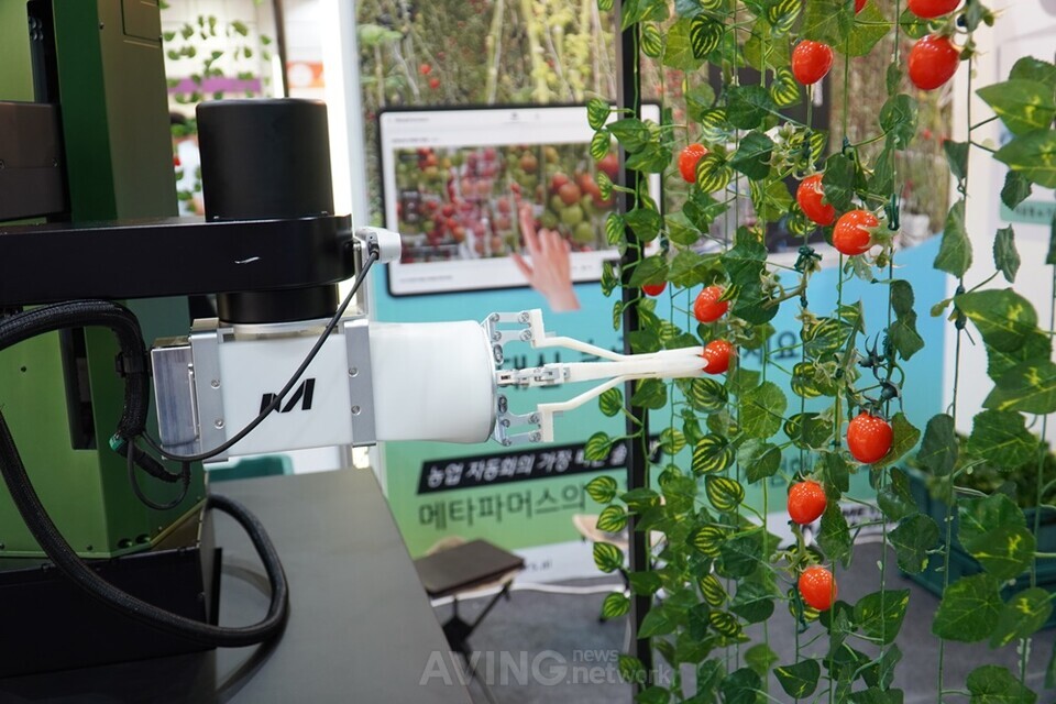 메타파머스의 온실용 토마토 수확 로봇 ‘메타파머’ 시연 모습 │촬영-에이빙뉴스
