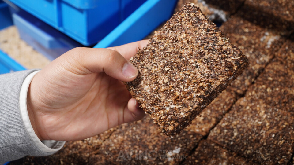 엠씨이, 'CES2026 혁신상 수상 노하우 공유 밋업' 시즌 5 참가... 수상 배... - 뉴스 썸네일 이미지