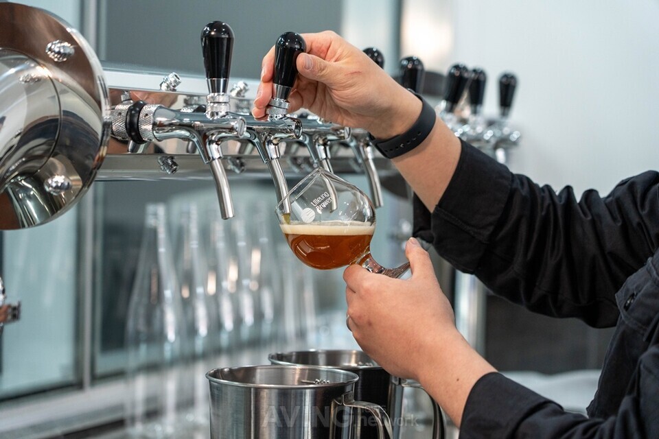 울릉브루어리, 2025 농식품 테크 스타트업 창업 박람회 참가... 울릉도 ... - 뉴스 썸네일 이미지