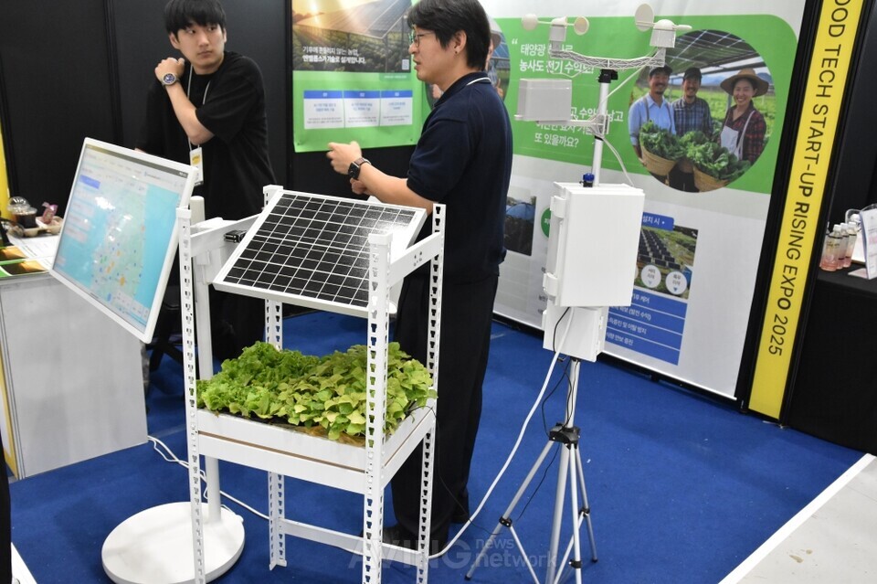 엔벨롭스, 2025 농식품 테크 스타트업 창업 박람회서 'AI 기반 스마트 영... - 뉴스 썸네일 이미지