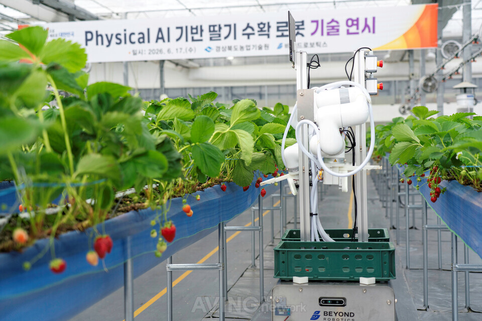 비욘드로보틱스, FIX 2026서 딸기 자율 수확 로봇 'PICKY(픽키)' 선보여...... - 뉴스 썸네일 이미지